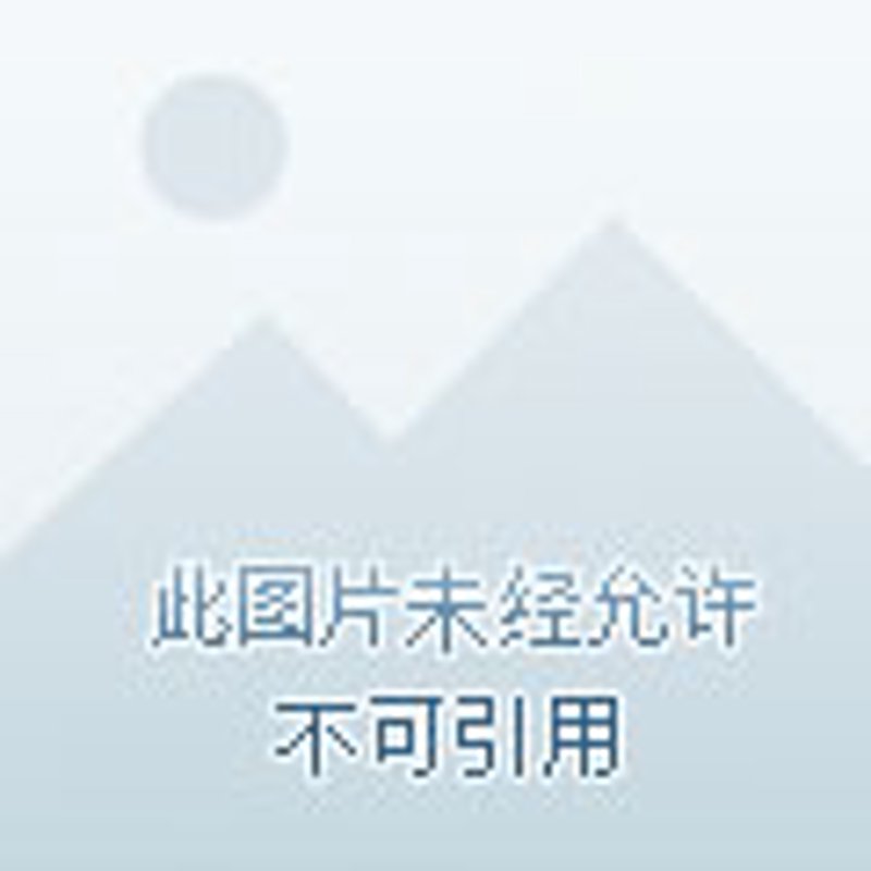 沈阳软件开发:如何选择合适的外包团队